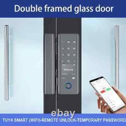 WIFI Remote Unlock Temporary Password Fingerprint Magnetic Card Glass Door Lock